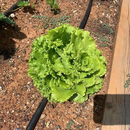 Cecilia - 4 Bedrooms, 4 Bathrooms, Heated Inside Pool, Gym *