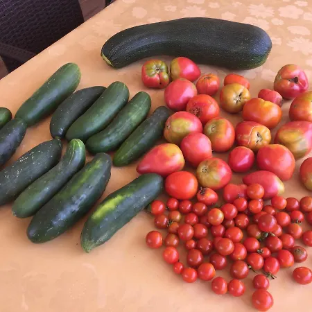 Cecilia - 4 Bedrooms, 4 Bathrooms, Heated Inside Pool, Gym *