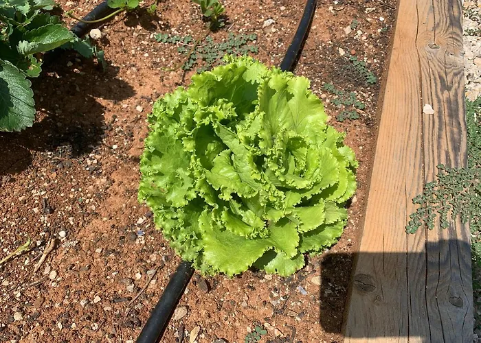 Cecilia - 4 Bedrooms, 4 Bathrooms, Heated Inside Pool, Gym *