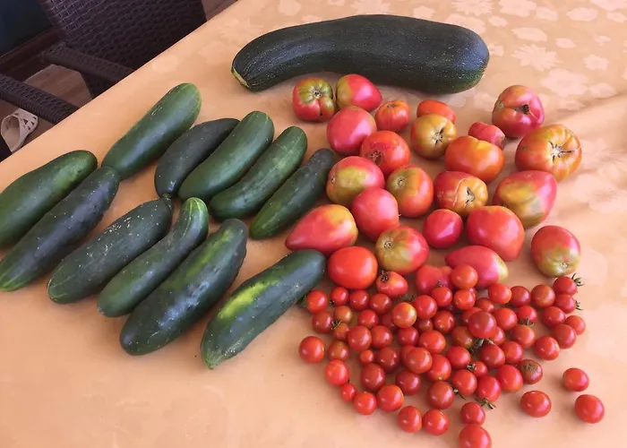 Cecilia - 4 Bedrooms, 4 Bathrooms, Heated Inside Pool, Gym *