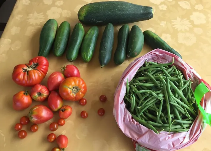 Cecilia - 4 Bedrooms, 4 Bathrooms, Heated Inside Pool, Gym Villa *